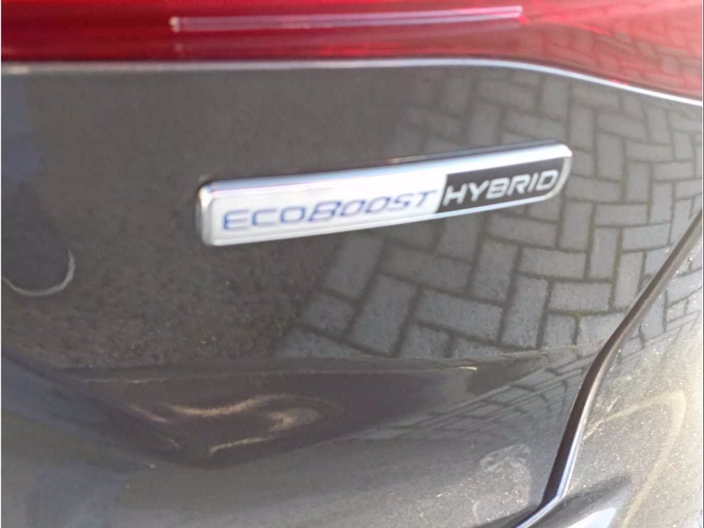FORD Focus 1.0 EcoBoost Hybrid 125 CV 5p. ST-Line