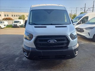 FORD Transit 350 fwd 2.0 ecoblue 130cv trend L2