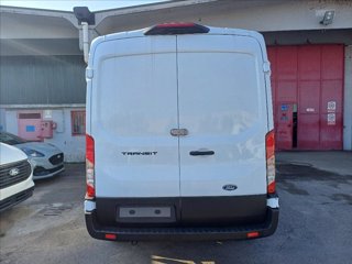 FORD Transit 350 fwd 2.0 ecoblue 130cv trend L2