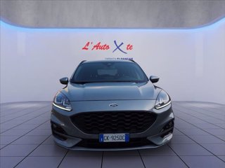 FORD Kuga 1.5 ecoblue ST-Line 2wd 120cv