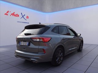 FORD Kuga 1.5 ecoblue ST-Line 2wd 120cv