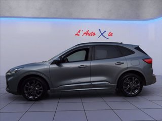 FORD Kuga 1.5 ecoblue ST-Line 2wd 120cv