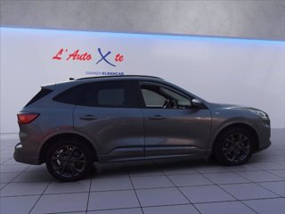 FORD Kuga 1.5 ecoblue ST-Line 2wd 120cv