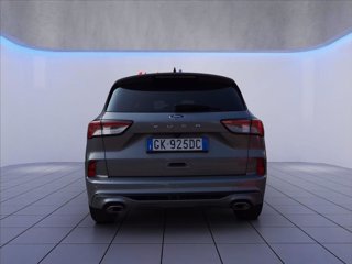 FORD Kuga 1.5 ecoblue ST-Line 2wd 120cv