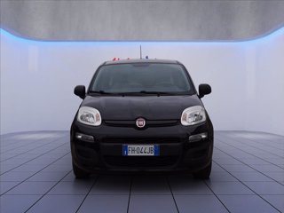 FIAT Panda 1.2 Easy 69cv
