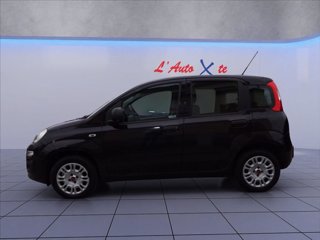 FIAT Panda 1.2 Easy 69cv