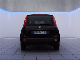 FIAT Panda 1.2 Easy 69cv