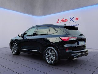 FORD Kuga 1.5 ecoblue ST-Line X 2wd 120cv auto