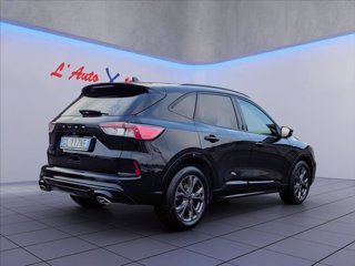 FORD Kuga 1.5 ecoblue ST-Line X 2wd 120cv auto