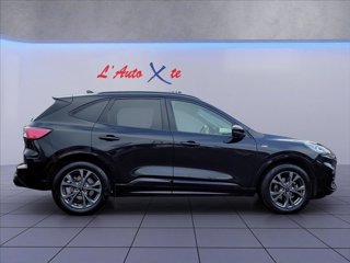 FORD Kuga 1.5 ecoblue ST-Line X 2wd 120cv auto