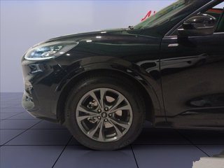 FORD Kuga 2.5 full hybrid ST-Line X 2wd 190cv cvt