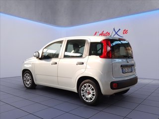 FIAT Panda 1.0 hybrid Easy s&s 70cv