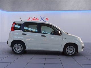 FIAT Panda 1.0 hybrid Easy s&s 70cv