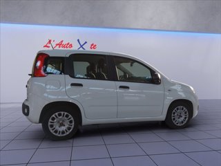 FIAT Panda 1.0 hybrid Easy s&s 70cv