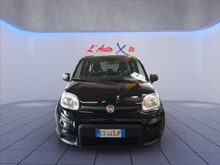 FIAT Panda 1.0 firefly hybrid s&s 70cv