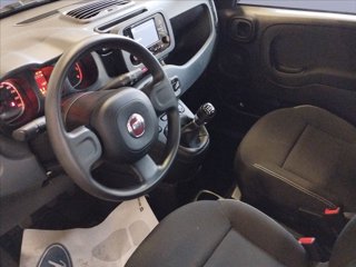 FIAT Panda 1.0 firefly hybrid s&s 70cv