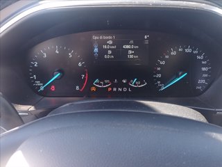 FORD Focus Active 1.0t ecoboost h 155cv powershift