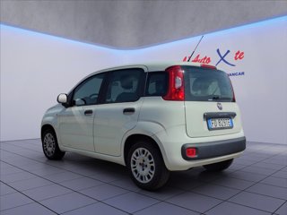 FIAT Panda 1.2 Easy 69cv