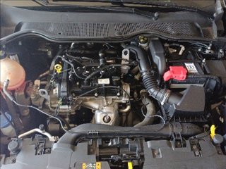 FORD Fiesta 5p 1.1 Plus 85cv my18