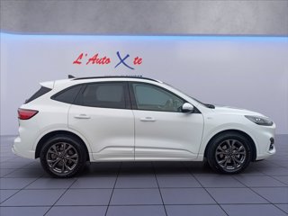 FORD Kuga 2.5 full hybrid ST-Line 2wd 190cv cvt