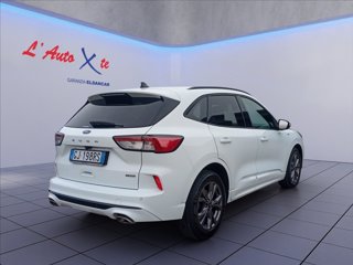FORD Kuga 2.5 full hybrid ST-Line 2wd 190cv cvt