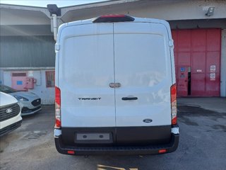 FORD Transit 350 fwd 2.0 ecoblue 130cv trend L2H2