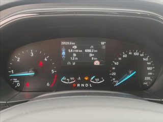FORD Focus SW 1.5 ecoblue ST-Line 120cv auto